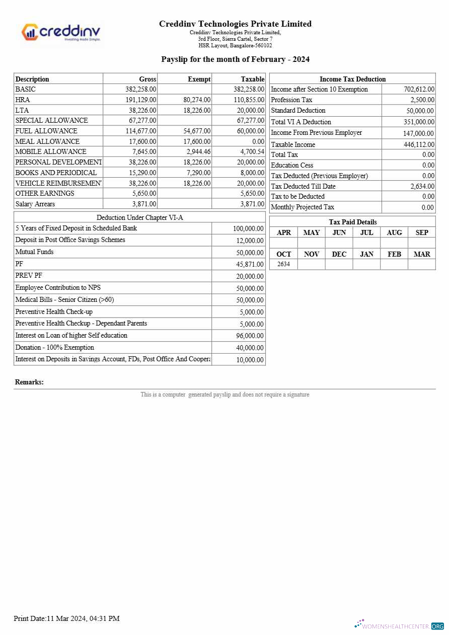 Download Creddinv Technologies payslip template in Word and PDF formats.pdf, 2 Photoshop template